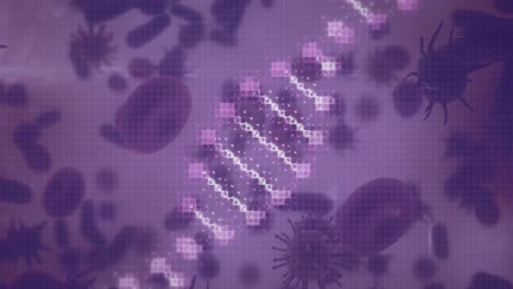 Animation-Eines-DNA-Strangs,-Der-Sich-über-Blutplättchen-Und-Blutzellen-Dreht