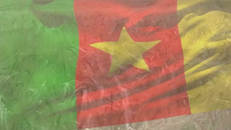 Digitale-Komposition-Der-Wehenden-Kamerun-Flagge-Vor-Der-Nahaufnahme-Von-Feldfrüchten-Auf-Dem-Bauernhof