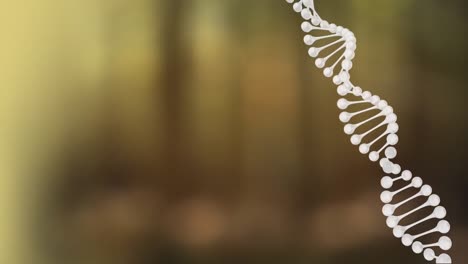 Animation-of-dna-strand-spinning-over-on-blurred-background