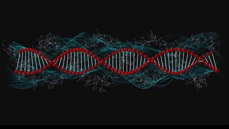 Animation-Eines-DNA-Strangs,-Der-Sich-über-Ein-Netzwerk-Von-Verbindungen-Dreht