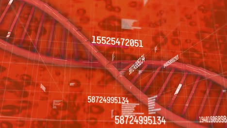 Animation-of-dna-strand-spinning-over-on-red-background-and-data-processing