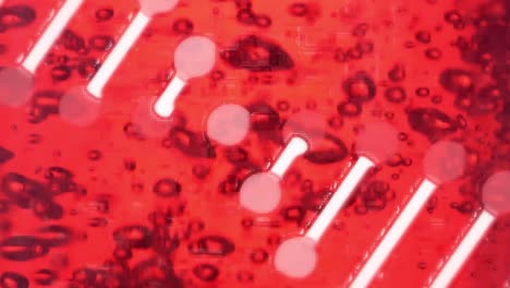 Animation-of-dna-strand-spinning-over-red-sparkling-liquid