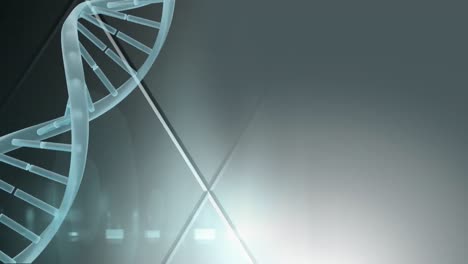 Animation-Eines-DNA-Strangs,-Der-Sich-über-Licht-Auf-Silbernem-Hintergrund-Dreht