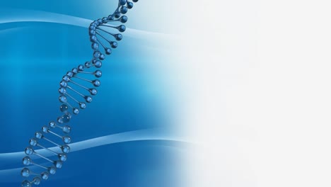 Animation-of-dna-strand-spinning-over-on-blue-and-white-background
