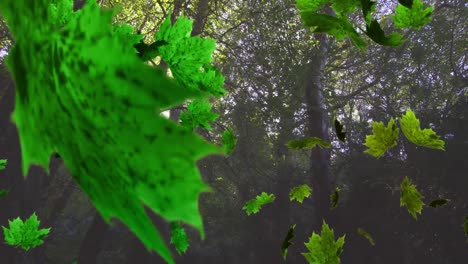 Animation-Mehrerer-Blätter,-Die-über-Grünen-Wald-Fallen