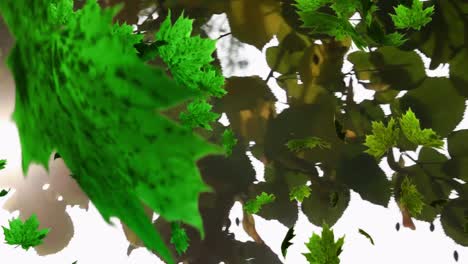 Animation-of-multiple-leaves-falling-over-green-forest