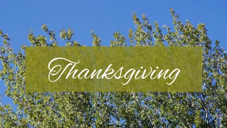 Animation-of-thanksgiving-text-on-green-banner-over-trees