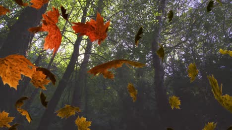 Animation-Mehrerer-Blätter,-Die-über-Herbstbäume-Fallen