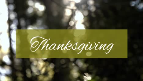 Animation-of-thanksgiving-text-on-green-banner-over-trees