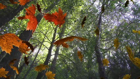 Animation-of-multiple-leaves-falling-over-green-forest
