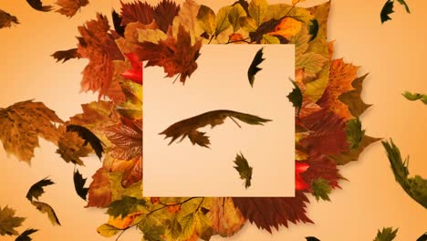 Multiple-autumn-maple-leaves-falling-over-leaves-and-copy-space-against-orange-background