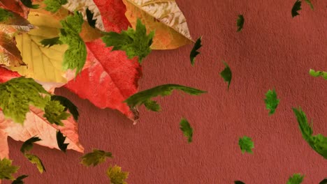 Animation-of-multiple-autumn-leaves-falling-on-brown-background