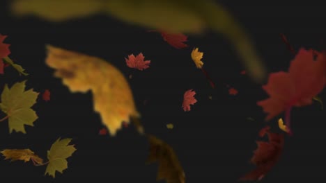 Animation-of-multiple-autumn-leaves-falling-on-black-background