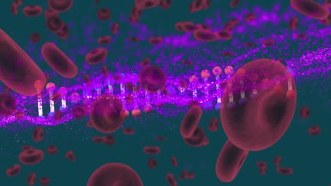 DNA-Struktur,-Die-Sich-über-Mehrere-Blutgefäße-Dreht,-Und-Violette-Digitale-Welle-Auf-Grünem-Hintergrund