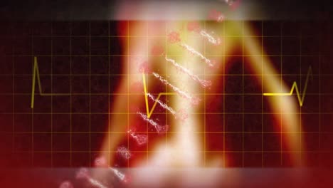 Animation-Eines-Herzfrequenzmessers-Und-Eines-DNA-Strangs,-Der-Sich-über-Dem-Gitter-Dreht