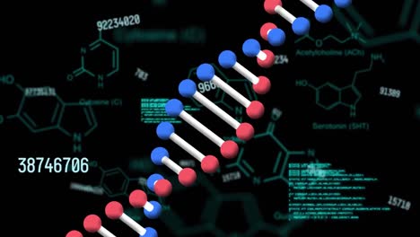 Animation-of-data-processing-,-dna-strand-spinning-over-chemical-compounds