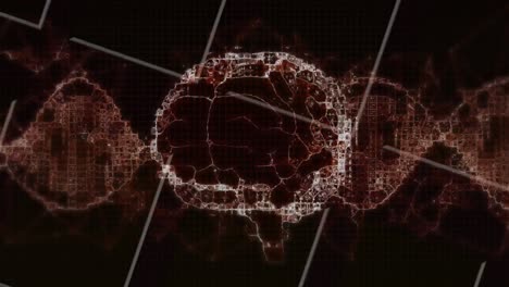 Digitale-Animation-Des-Menschlichen-Gehirns,-Das-Sich-Vor-Weißen-Linien-Auf-Schwarzem-Hintergrund-Dreht