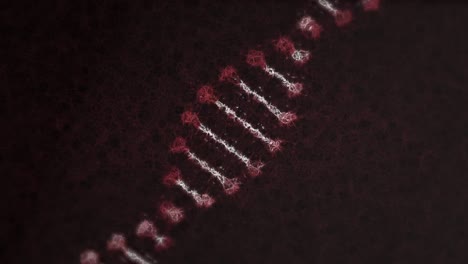 Digitale-Animation-Einer-DNA-Struktur,-Die-Sich-Vor-Schwarzem-Hintergrund-Dreht