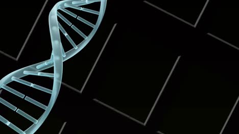 Digital-animation-of-dna-structure-spinning-against-white-lines-on-black-background