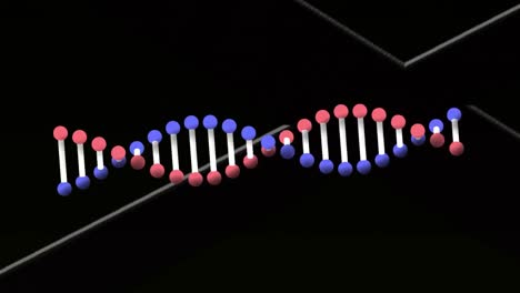 Digitale-Animation-Einer-DNA-Struktur,-Die-Sich-Vor-Weißen-Linien-Auf-Schwarzem-Hintergrund-Dreht