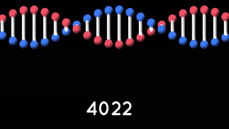 Digitale-Animation-Steigender-Zahlen-über-Einer-DNA-Struktur,-Die-Sich-Vor-Schwarzem-Hintergrund-Dreht