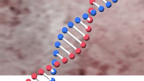 Digitale-Animation-Der-DNA-Struktur,-Die-Sich-Vor-Abstrakter-Textur-Auf-Braunem-Hintergrund-Dreht