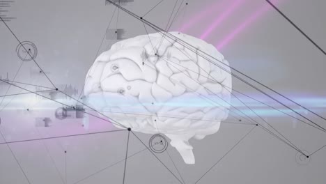 Netzwerk-Aus-Verbindungen-Und-Datenverarbeitung-Vor-Dem-Menschlichen-Gehirn-Und-Lichtspuren-Auf-Grauem-Hintergrund