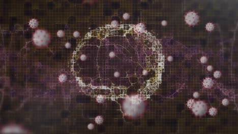 Digitale-Animation-Mehrerer-Covid-19-Zellen,-Die-über-Dem-Menschlichen-Gehirn-Schweben-Und-Sich-Auf-Schwarzem-Hintergrund-Drehen