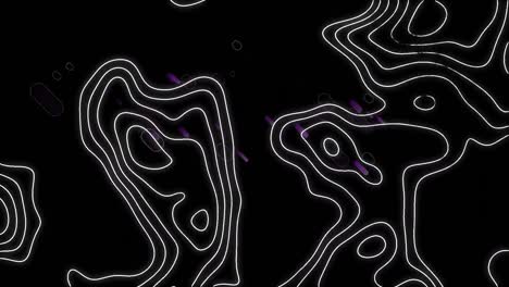 Animation-of-moving-white-contour-lines,-with-purple-fireworks,-on-black-background