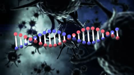 Animation-Eines-DNA-Strangs,-Der-Sich-über-Schwimmende-Covid-19-Zellen-Dreht
