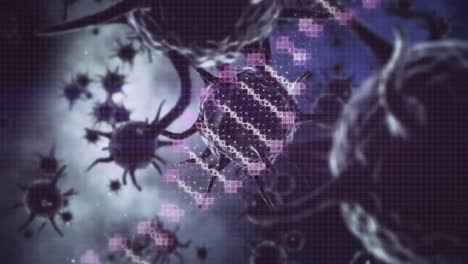 Digitale-Animation-Der-DNA-Struktur,-Die-Sich-über-Mehrere-Covid-19-Zellen-Vor-Violettem-Hintergrund-Dreht