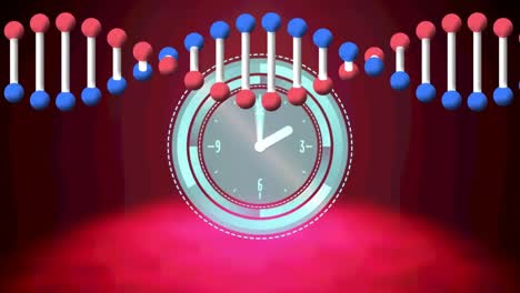 Animation-of-dna-strand-spinning-over-clock