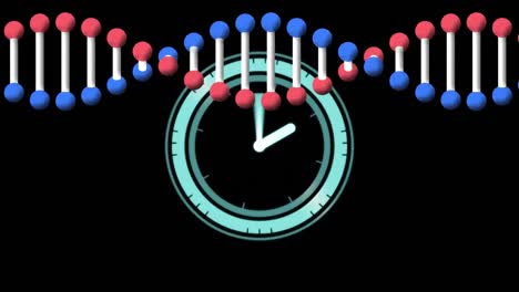 Digital-animation-of-dna-structure-spinning-over-neon-blue-digital-clock-ticking-on-black-background