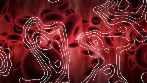 Digital-animation-of-topography-over-multiple-blood-vessels-floating-against-red-background