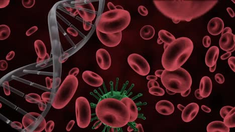 Digitale-Animation-Der-DNA-Struktur-Und-Der-Covid-19-Zelle-über-Blutgefäßen-Vor-Rotem-Hintergrund