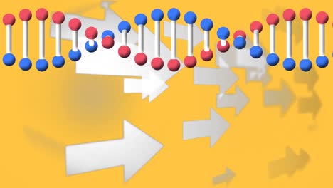 Digital-animation-of-dna-structure-spinning-over-multiple-arrow-icons-against-yellow-background