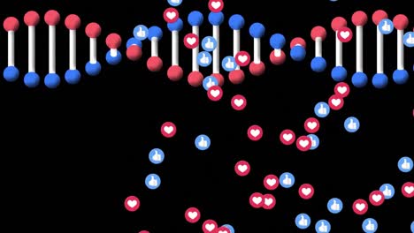 Mehrere-Herz--Und-ähnliche-Symbole-Schweben-Vor-Einer-DNA-Struktur,-Die-Sich-Auf-Schwarzem-Hintergrund-Dreht