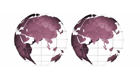 Animation-of-two-rotating-purple-globes,-side-by-side-on-white-background
