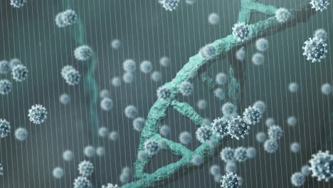 Animation-Eines-DNA-Strangs,-Der-Sich-über-Corona-Viruszellen-Dreht