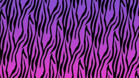 Animation-of-black-tiger-stripe-pattern-on-pink-background