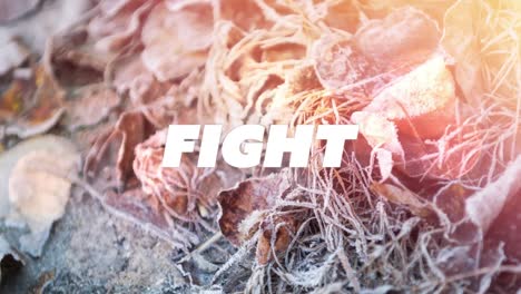 Animation-of-fight-text-over-plants-cover-with-snow