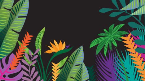 Animation-of-tropical-plant-leaves-on-black-background