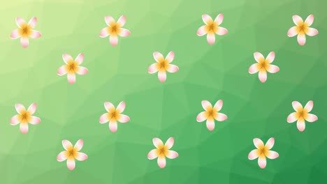 Animation-of-white-flowers-spinning-on-green-background
