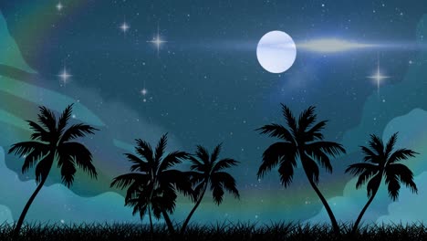 Animation-of-cassette-over-palm-trees,-stars-and-moon-on-sky