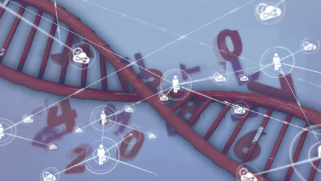 Animation-Von-Verbindungsnetzwerken-Und-Datenverarbeitung-über-DNA-Strang-Auf-Weißem-Hintergrund