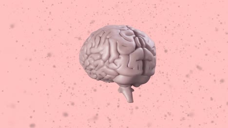 Animation-Des-Menschlichen-Gehirns,-Das-Sich-Mit-Grauen-Partikeln-Auf-Rosa-Hintergrund-Dreht