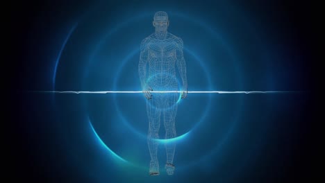 Animation-of-human-walking-over-blue-circles