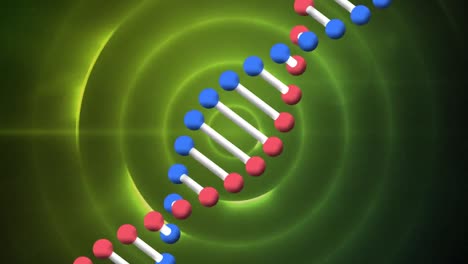 Animation-Eines-DNA-Strangs-über-Grünen-Kreisen