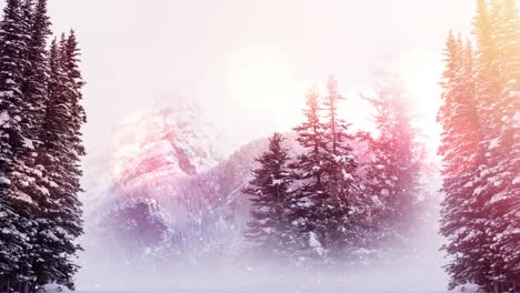 Animation-Von-Schnee,-Der-über-Bäume-Im-Wald-Fällt