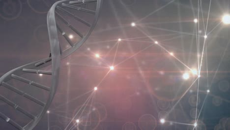 Animation-Eines-DNA-Strangs-über-Netzwerke-Von-Verbindungen-Mit-Symbolen
